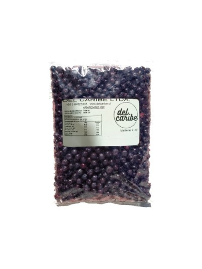 Arandano congelado 1 kilo