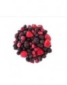 Mix IQF seleccion 4 Berries – Mayoristas-Horeca-Alimentos