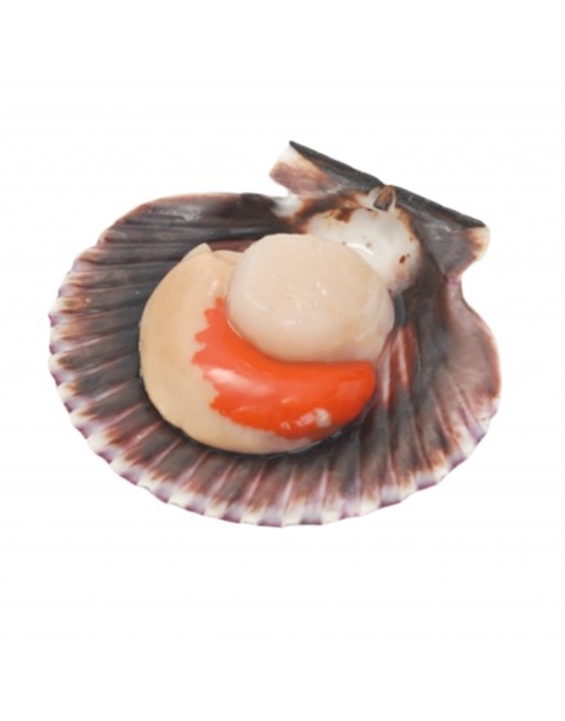 Ostion en 1/2 concha – Delivery Congelados